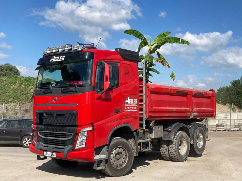 Roter Lkw von Heiler Transporte mit einer Palme im Hintergrund.
